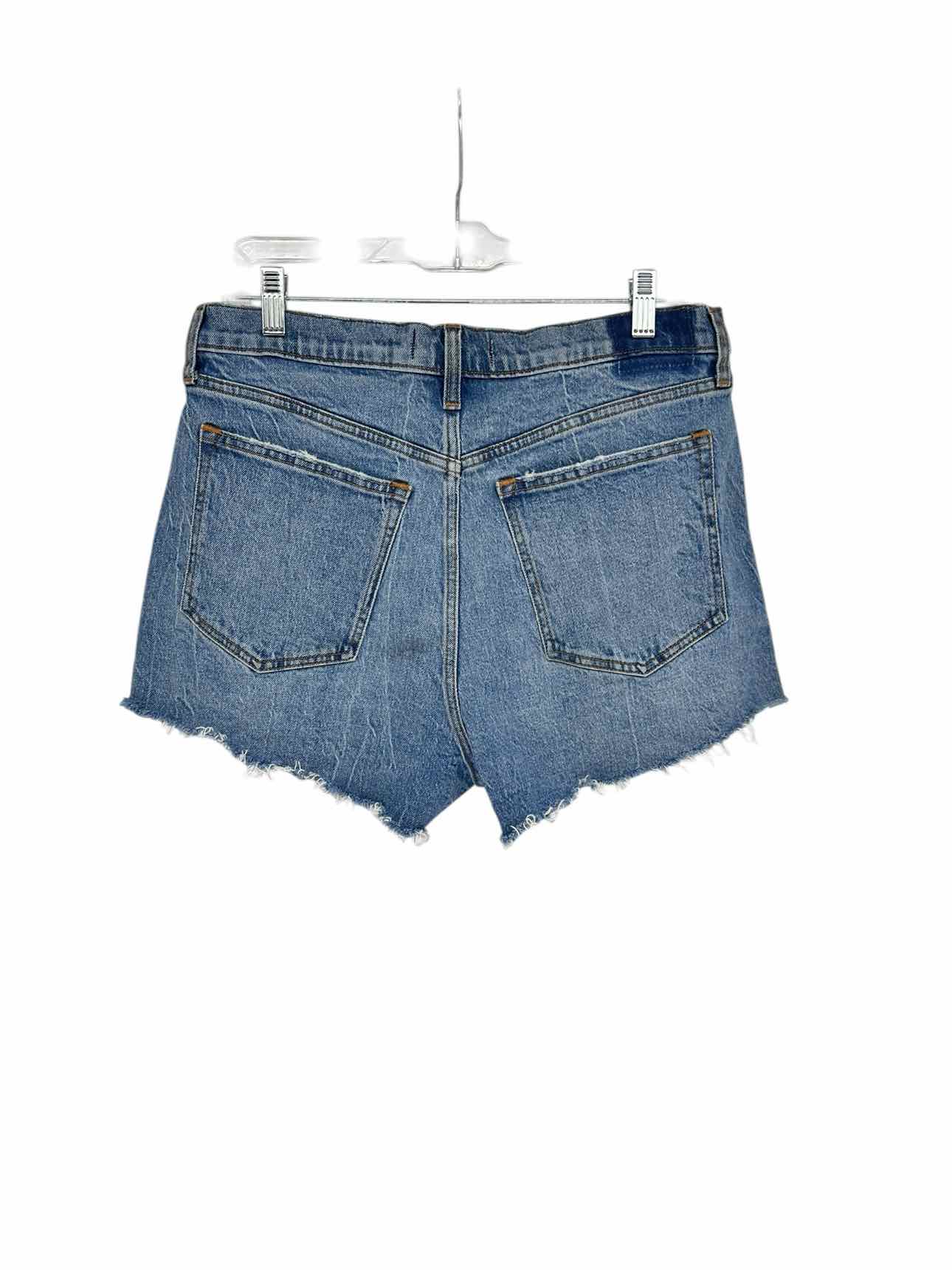 Abercrombie & Fitch Blue Shorts Size 10