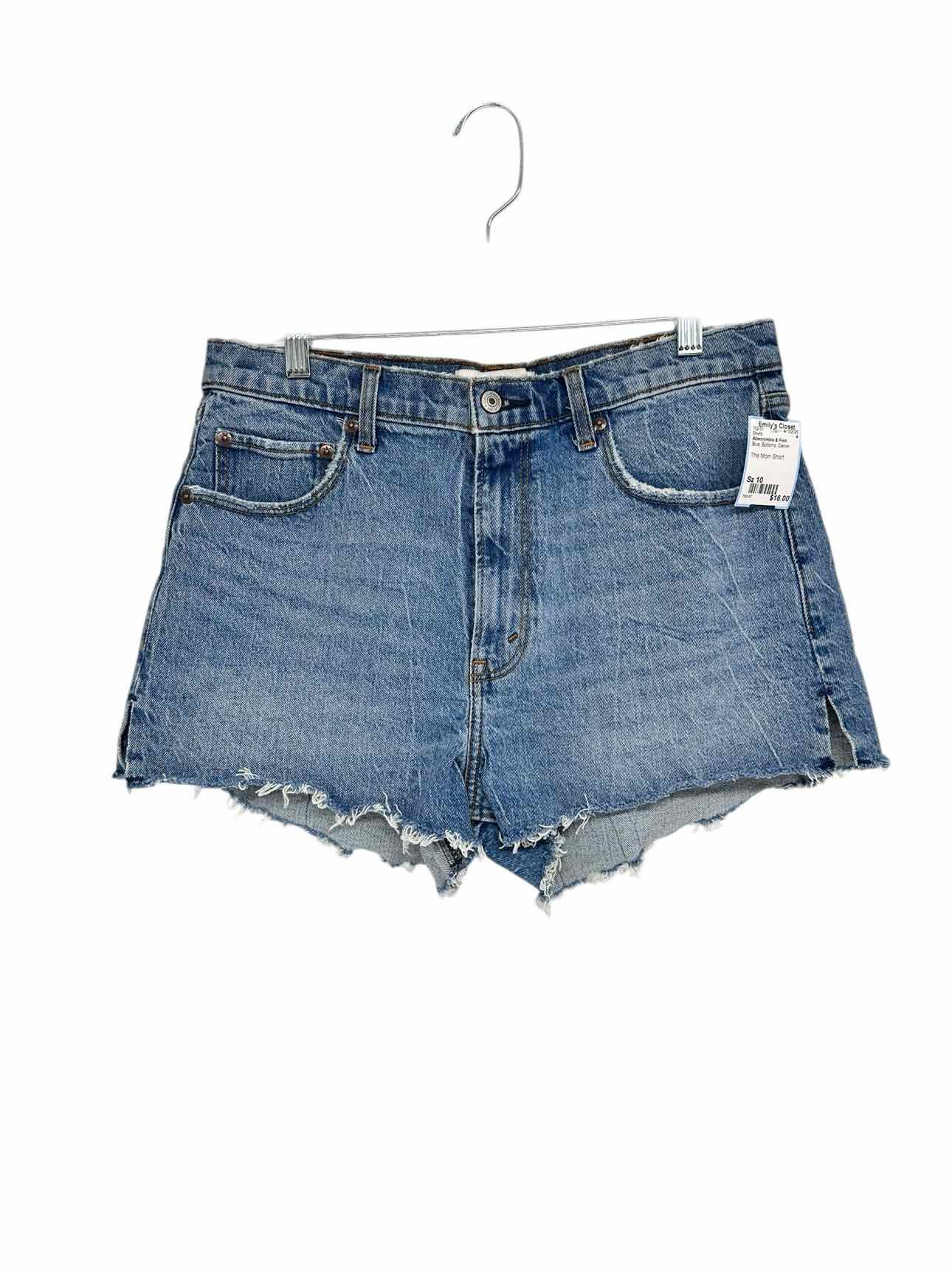 Abercrombie & Fitch Blue Shorts Size 10