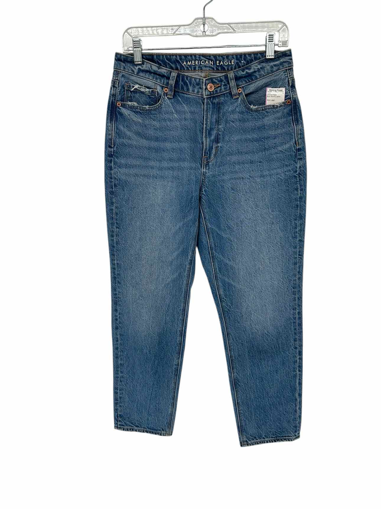 American Eagle Blue Mom Jean Size 6