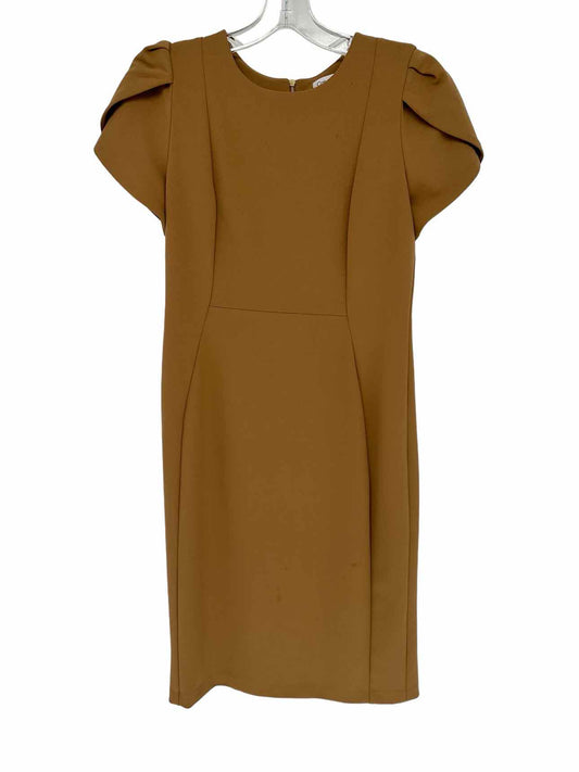 Calvin Klein Tan Size 8 Dress
