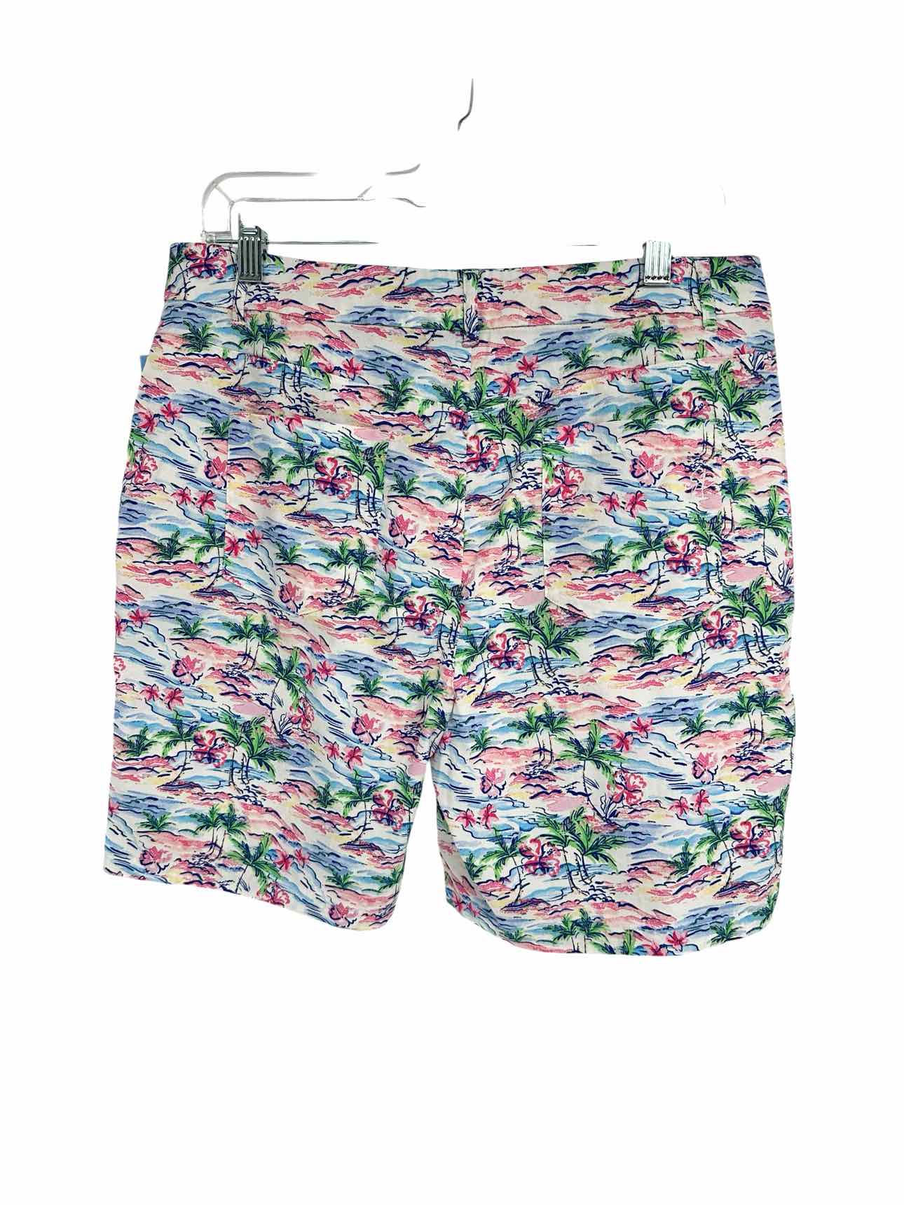 Stella Parker Multi-Color Size 10 Shorts