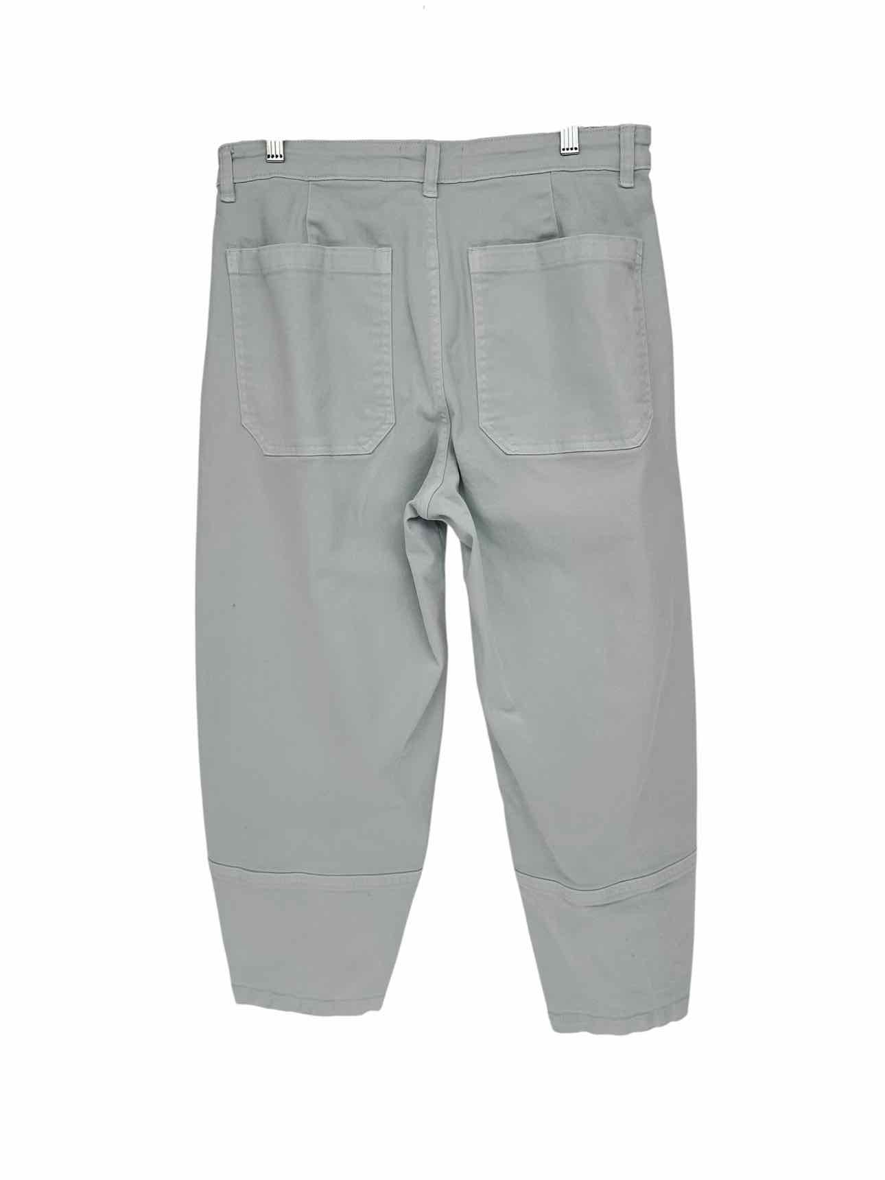 Everlane The Utility Barrel Pant Lt. Blue Size 14