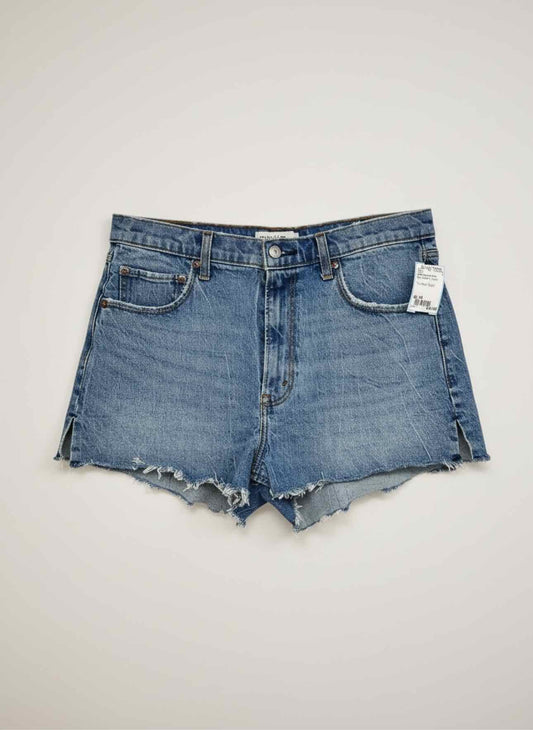 Abercrombie & Fitch Blue Shorts Size 10