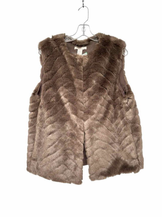 H&M Taupe Size 10 Vest **NEW**