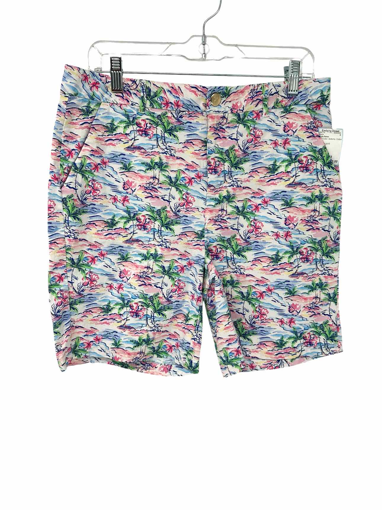 Stella Parker Multi-Color Size 10 Shorts