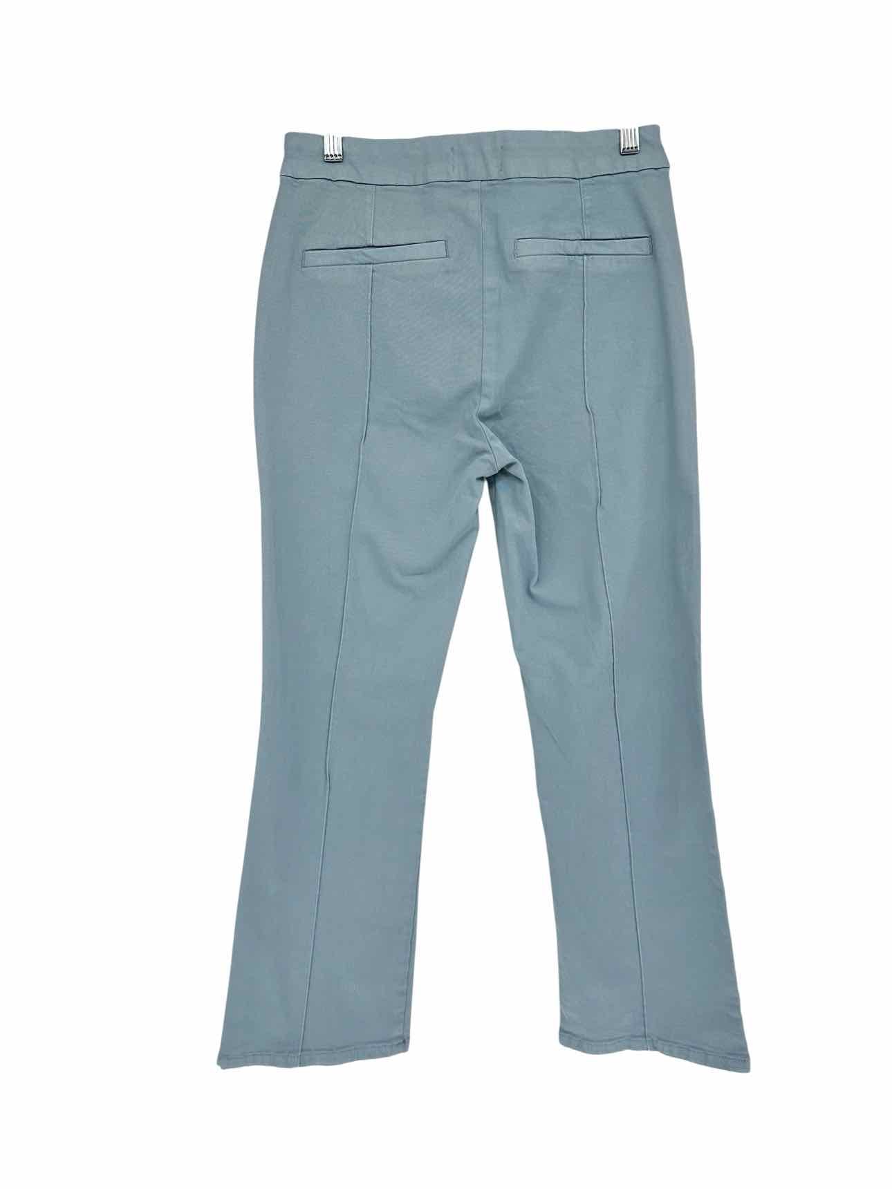 Pistola Simone Pants in Frost Blue Size 4 **NEW**