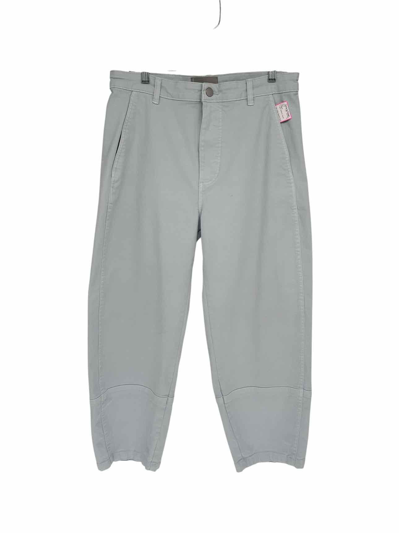 Everlane The Utility Barrel Pant Lt. Blue Size 14