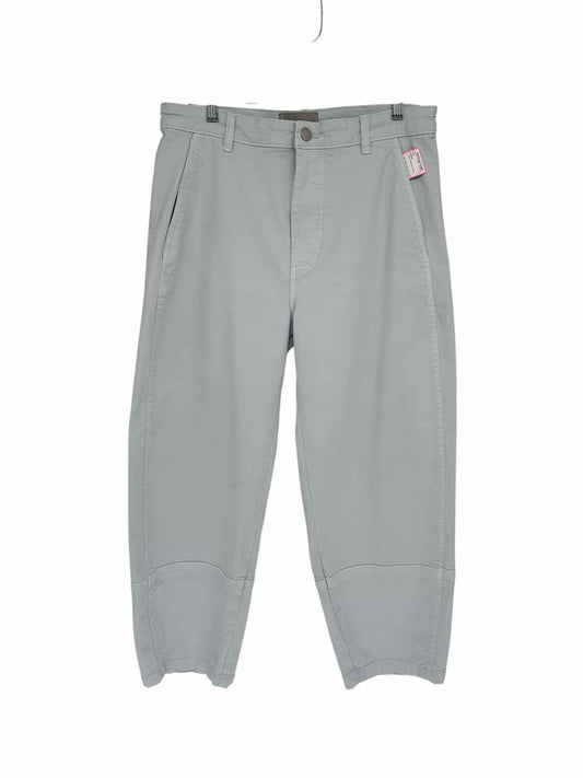 Everlane The Utility Barrel Pant Lt. Blue Size 14